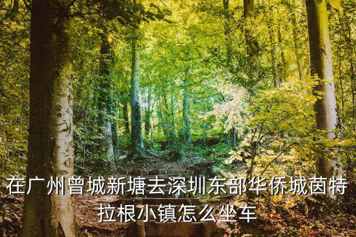 在廣州曾城新塘去深圳東部華僑城茵特拉根小鎮怎么坐車
