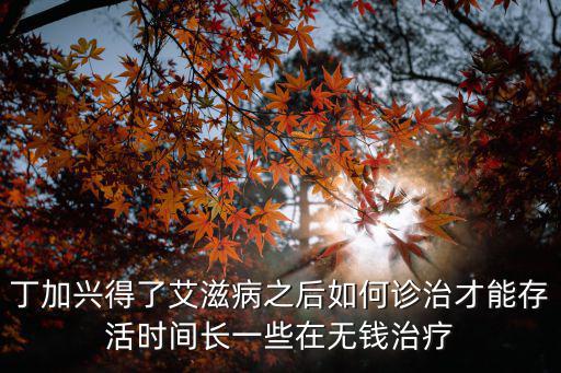 東莞丁加興，陽歷5月31日1545分出生的男孩起什么名字好 本人姓丁
