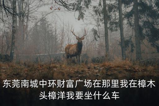 東莞南城中環財富廣場在那里我在樟木頭樟洋我要坐什么車