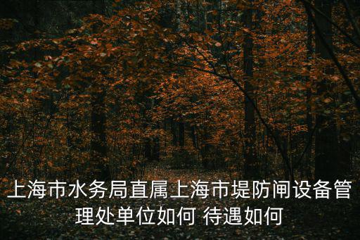 上海市水務局規(guī)劃處，上海市供水管理處計劃用水辦公室事業(yè)編制待遇怎么樣