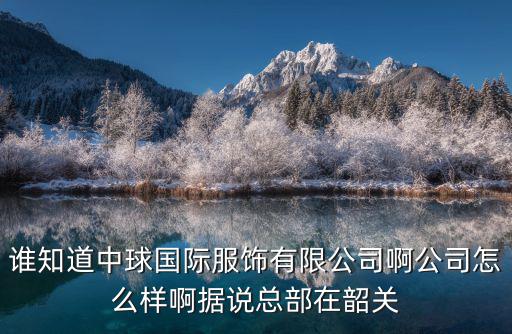 誰知道中球國際服飾有限公司啊公司怎么樣啊據說總部在韶關