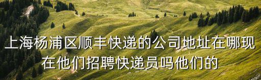 上海市楊浦區研究生住房補貼，楊浦 同濟大學旁誰有房子租啊便宜點額幾百塊能打倒的那種
