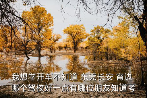 我想學開車不知道 東莞長安 宵邊 哪個駕校好一點有哪位朋友知道考