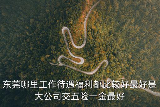 東莞哪里工作待遇福利都比較好最好是大公司交五險一金最好