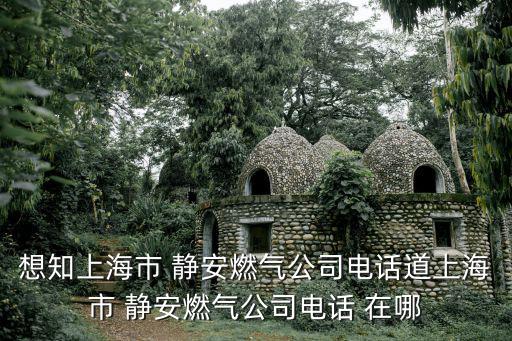 上海市亭林鎮煤氣站，寶山區哪里有煤氣站啊
