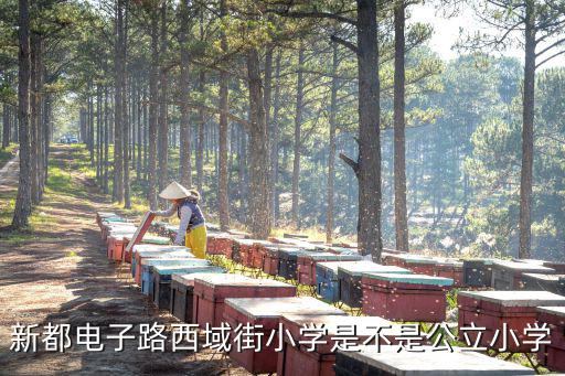 新都電子路西域街小學是不是公立小學