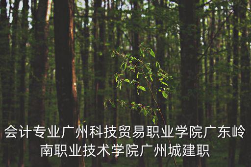 會計專業廣州科技貿易職業學院廣東嶺南職業技術學院廣州城建職