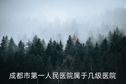 成都市第一人民醫院屬于幾級醫院