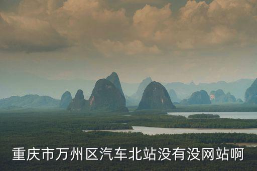 重慶市萬州區(qū)汽車北站沒有沒網(wǎng)站啊