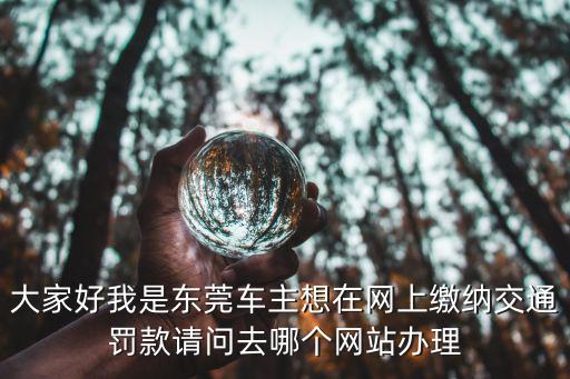 大家好我是東莞車主想在網上繳納交通罰款請問去哪個網站辦理