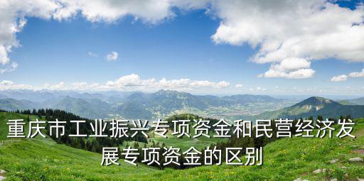 重慶市振興，為什么重慶發展的那么快 不是也振興東北么那黑龍江除了農業工業經濟