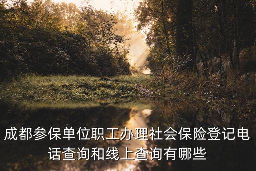 成都市人社局沈處長，成都參保單位職工辦理社會保險登記線上查詢和電話查詢是如何的  搜