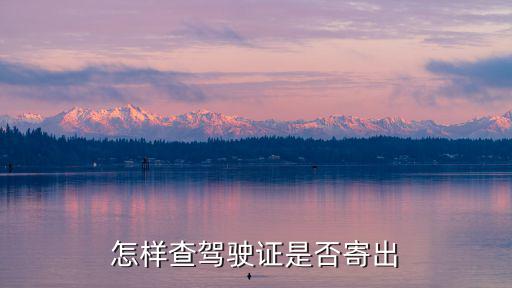 怎樣查駕駛證是否寄出
