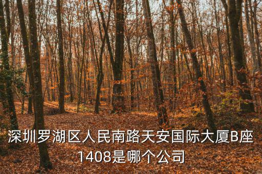 深圳羅湖區(qū)人民南路天安國際大廈B座1408是哪個公司