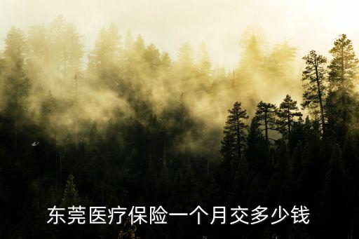 東莞醫療保險一個月交多少錢