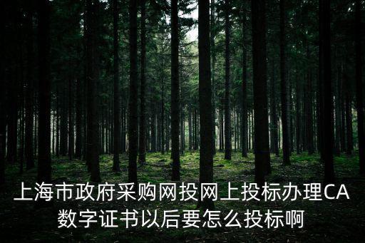 上海市政府采購(gòu)網(wǎng)投網(wǎng)上投標(biāo)辦理CA數(shù)字證書以后要怎么投標(biāo)啊