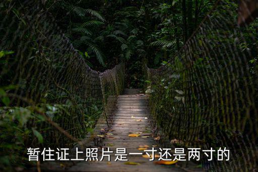 成都市居住證照片尺寸是多少錢，暫住證照片規(guī)格是多少謝謝