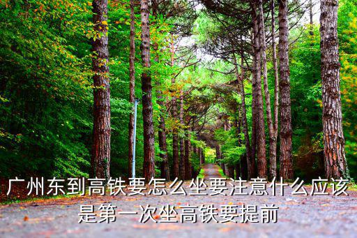 廣州東到高鐵要怎么坐要注意什么應(yīng)該是第一次坐高鐵要提前