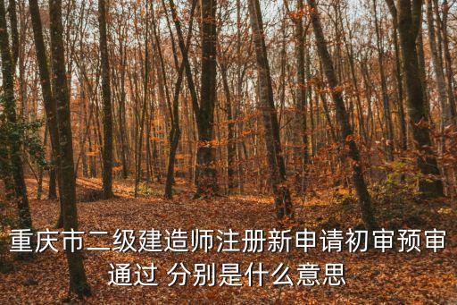 重慶市二級建造師注冊新申請初審預(yù)審?fù)ㄟ^ 分別是什么意思