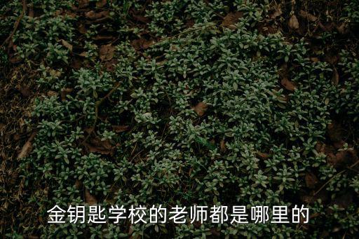 金鑰匙學校的老師都是哪里的
