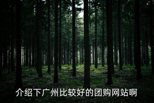 介紹下廣州比較好的團購網站啊
