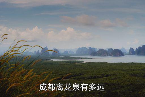 龍泉新河鎮(zhèn)離成都市區(qū)有多少公里，四川省成都市龍泉驛區(qū) 離市區(qū)遠(yuǎn)不遠(yuǎn)