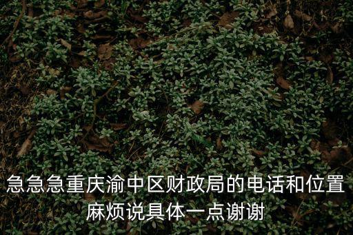 重慶市財(cái)政局綜合處電話(huà)是多少時(shí)間，重慶財(cái)政局地址