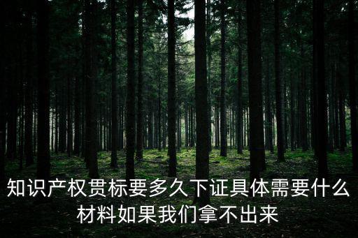 重慶市知識產權貫標，如何做好知識產權貫標工作