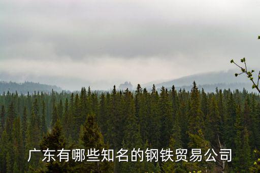 廣東有哪些知名的鋼鐵貿易公司