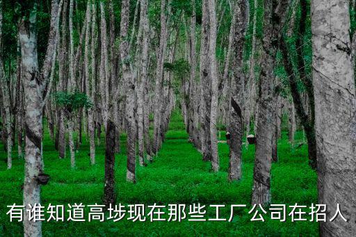 東莞麗公司招聘，東莞清溪德麗電子廠