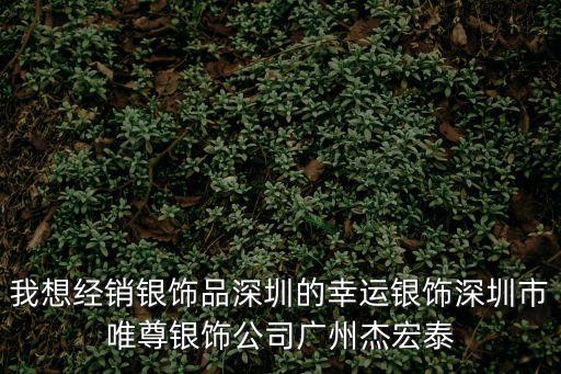 廣州唯尊門業(yè)有限公司，我想經銷銀飾品深圳的幸運銀飾深圳市唯尊銀飾公司廣州杰宏泰
