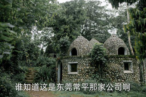 誰知道這是東莞常平那家公司啊