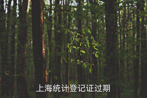 上海市統計登記證是否取消，我們公司的統計登記證是14年3月到期本來應該換證的可是原來的