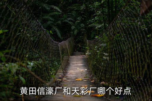 黃田信濠廠和天彩廠哪個好點
