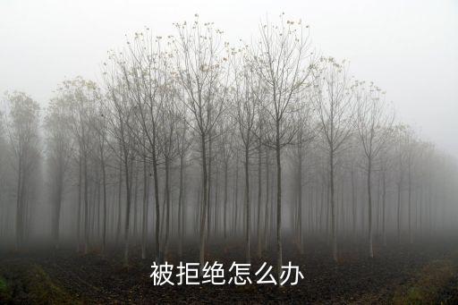 被拒絕怎么辦