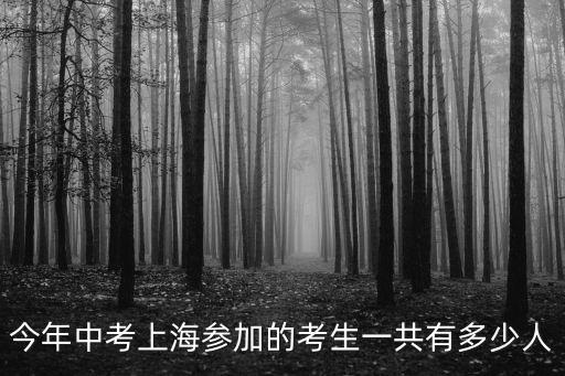 上海市中專招生人數(shù)，今年中考上海參加的考生一共有多少人