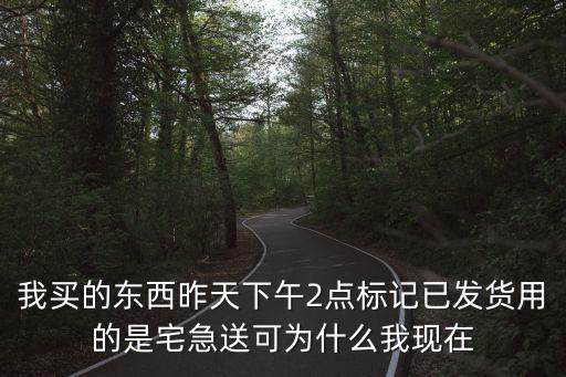 我買的東西昨天下午2點(diǎn)標(biāo)記已發(fā)貨用的是宅急送可為什么我現(xiàn)在