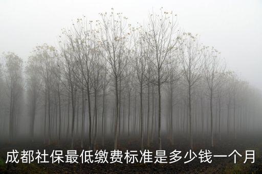 成都市社保一個月多少錢，成都的社保大概多少錢一個月