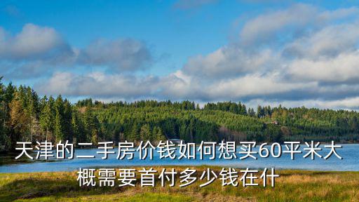 天津的二手房價錢如何想買60平米大概需要首付多少錢在什