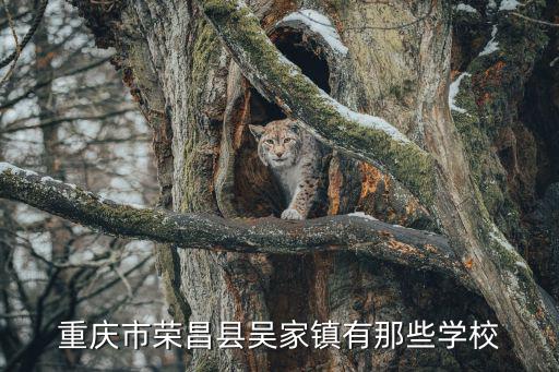 重慶市建委吳，重慶特色60小鎮(zhèn)你去過(guò)那幾個(gè)