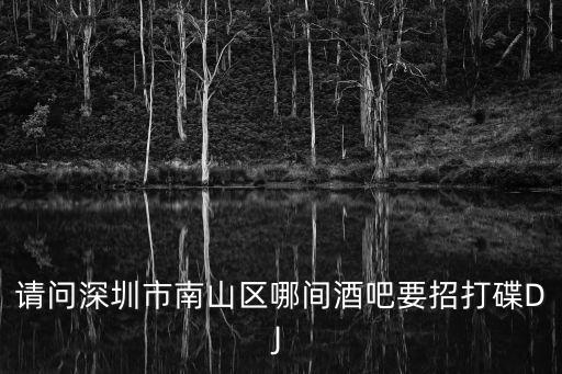請問深圳市南山區哪間酒吧要招打碟DJ