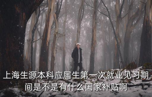 上海生源本科應屆生第一次就業見習期間是不是有什么國家補貼啊