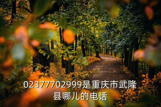 02377702999是重慶市武隆縣哪兒的電話