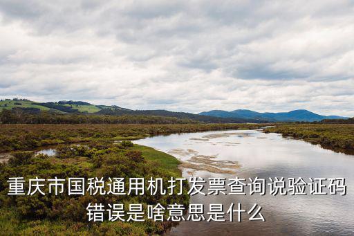 重慶市國稅通用機打發票查詢說驗證碼錯誤是啥意思是什么