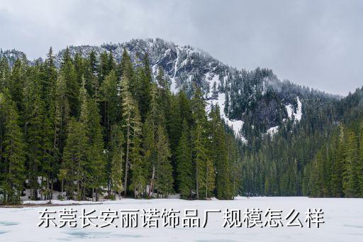 東莞長安麗諾飾品廠規模怎么樣
