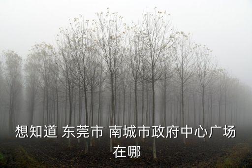 想知道 東莞市 南城市政府中心廣場(chǎng) 在哪
