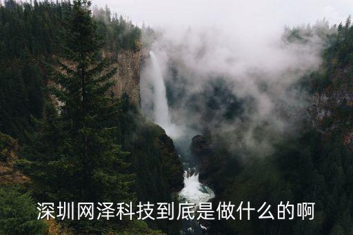 深圳網(wǎng)澤科技到底是做什么的啊
