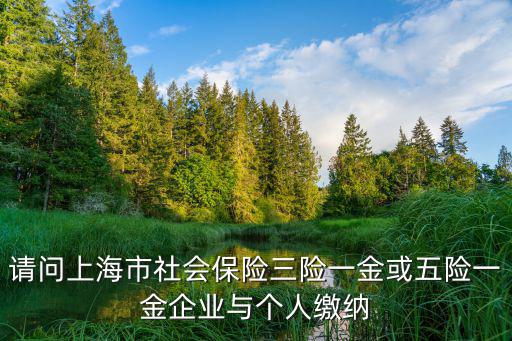 上海市社會保險單位部分，上海辦理社保的單位具體叫什么名字