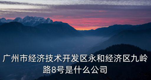 廣州市經濟技術開發區永和經濟區九嶺路8號是什么公司