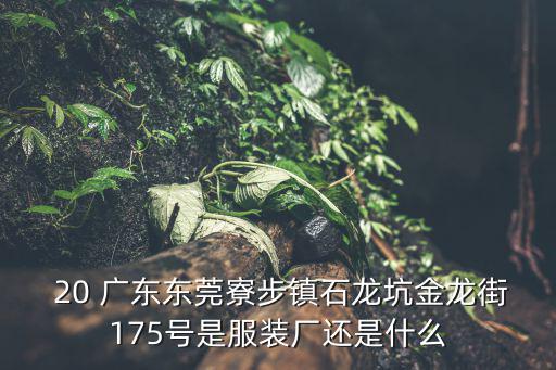  20 廣東東莞寮步鎮(zhèn)石龍坑金龍街175號(hào)是服裝廠還是什么